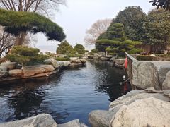 -中国唐苑