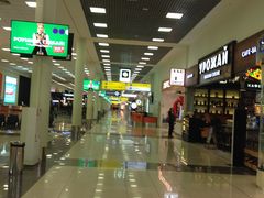 -谢列梅捷沃国际机场