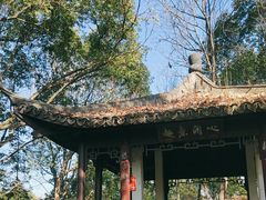 -杭州半山国家森林公园