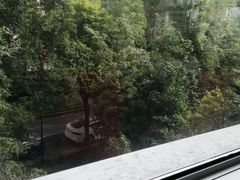 -新南华大酒店(广中店)