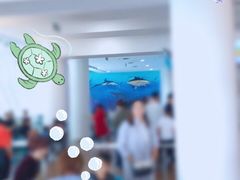 -贝林大翅鲸简餐厅(国家海洋博物馆店)