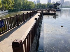 -莲花池公园