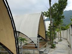 -海南热带雨林国家公园吊罗山景区