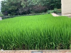 -北坞公园