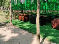 -上海海湾国家森林公园