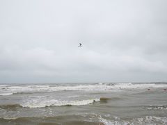 -南戴河旅游度假区