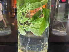 -广东中医药博物馆