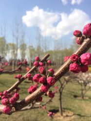 -大望京儿童游乐场