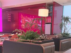 -老板恋上鱼(恒隆广场店)