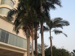 -雅庭海湾国际大酒店-西餐厅