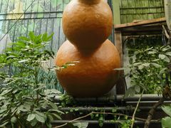 -呀路古热带植物园