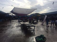 -尼甘布海鲜市场