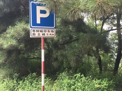 -鲁山国家森林公园