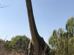 -自然谷恐龙园
