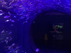 -成都浩海立方海洋公园