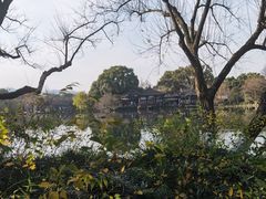 -西湖游船