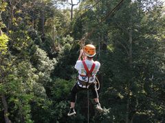 -清迈丛林飞跃 JungleFlight