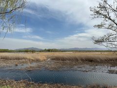 -野鸭湖国家湿地公园