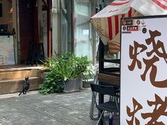 -泡桐树街