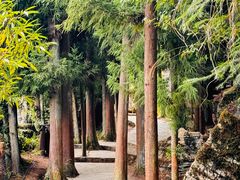 -梭布垭石林景区