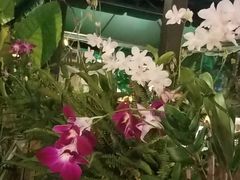 -火咂咂竹筒宴(告庄店)