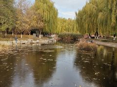 -丰台科技园生态主题公园