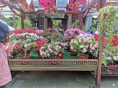 -惠山古镇·寄畅园