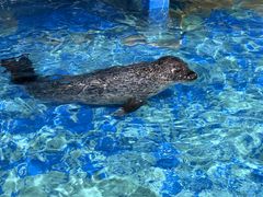 -太平洋海底世界