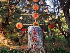 -北海金海湾红树林生态旅游区