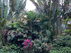 -碧桂园润杨溪谷温泉酒店