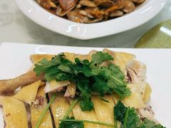 -陈记粤湛鸡饭店