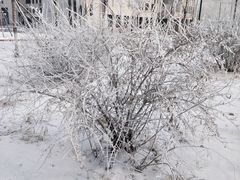 -东北农业大学