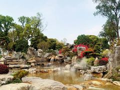 -东莞植物园