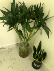 点击看大图 -海涛医疗美容·面部抗衰·注射美鼻