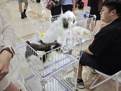 -宁波鄞州万达广场