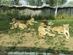 -北京野生动物园