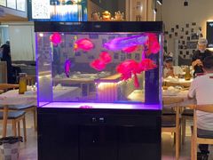 -五丁桥光头香辣蟹(望江橡树林店)