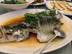 -黄埔华苑酒家(黄埔店)