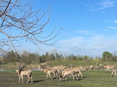 -溱湖国家湿地公园