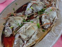 -南沙十九涌渔人码头-南门