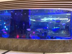 -天目缘餐厅