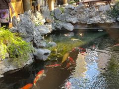 -鲤院·新中式美学·庭院餐厅(夫子庙店)