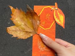 -辛一·铜锣烧(鸿寿坊店)