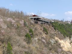-铜川市金锁关石林