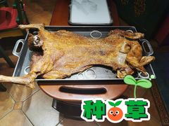 -九十九顶毡房(阜石路店)