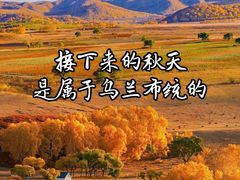 -乌兰布统草原