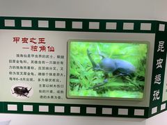 -上海昆虫博物馆