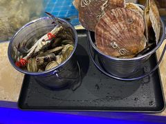 大扇贝-乔哥铭洋海鲜自助(皇城恒隆广场店)