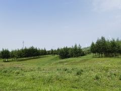 -御道口草原森林风景区