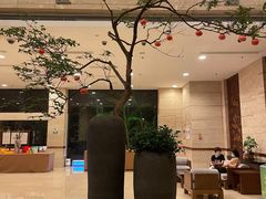 -九华山聚龙大酒店